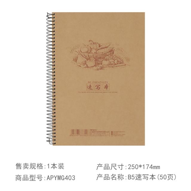 스케치북 Chenguang소묘노트 스케치노트 더블라인 ShengZhuan용회화노트 그래피티 사생그림그리기 간편 소묘노트 원목 펄프 16K공백 그림 미술 B5전용 납페인팅 도화, T03-B5스케치노트 40페이지(평년 시리즈 2)*2권