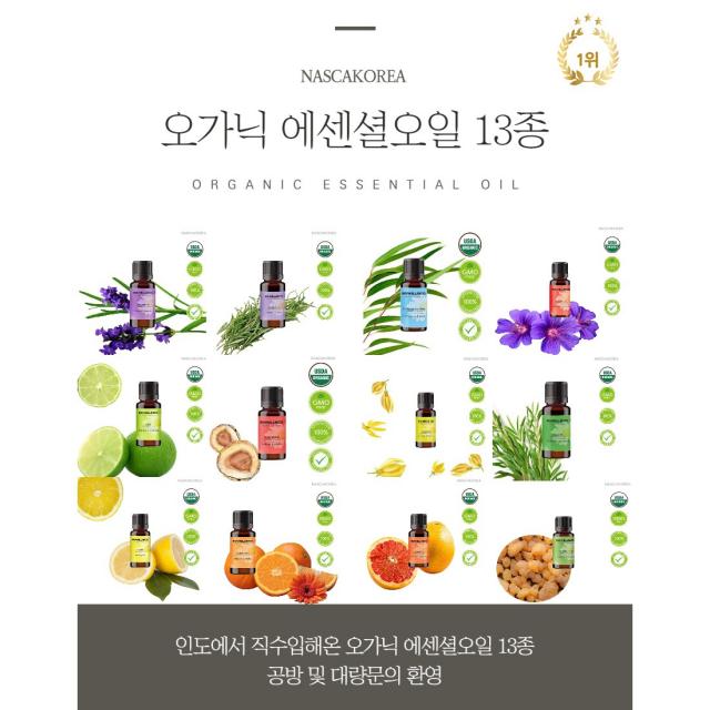 나스카코리아 오가닉(유기농)에센셜오일 라벤더프렌치 10ml [미국FDA / HACCP 시설], 티트리