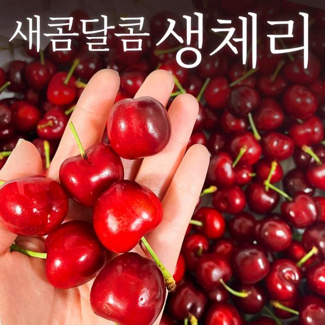 [재구매율 98%] 쿠메푸드 당도선별 캘리포니아산 체리, 500g, 1개