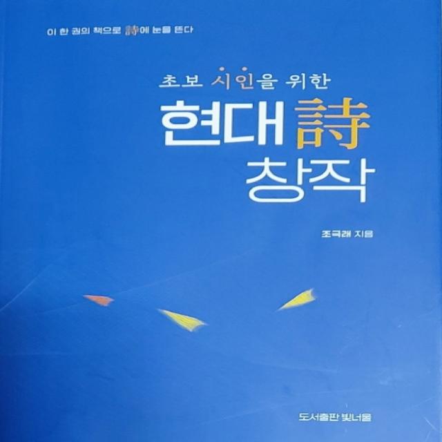 초보 시인을 위한 현대시 창작 이론과 실제, 빛너울