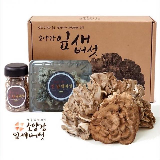 소양강 버섯 면역력 베타글루칸 건조 잎새버섯, 1박스, 80g