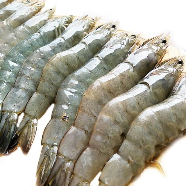 바다직판장 흰다리새우 특대사이즈, 500g 15미, 1팩