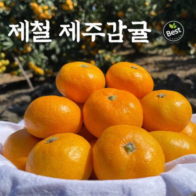 [농장에서바로발송] 제주도 제철 노지귤 감귤 로얄과 꼬마귤 5kg 10kg 고당도, 3. 꼬마귤 5kg