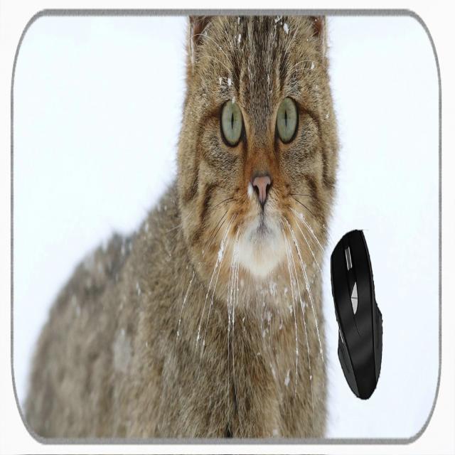 Yanteng XXL 전문 대형 마우스 패드 강설량 응시 CAT 큰 매트, 1