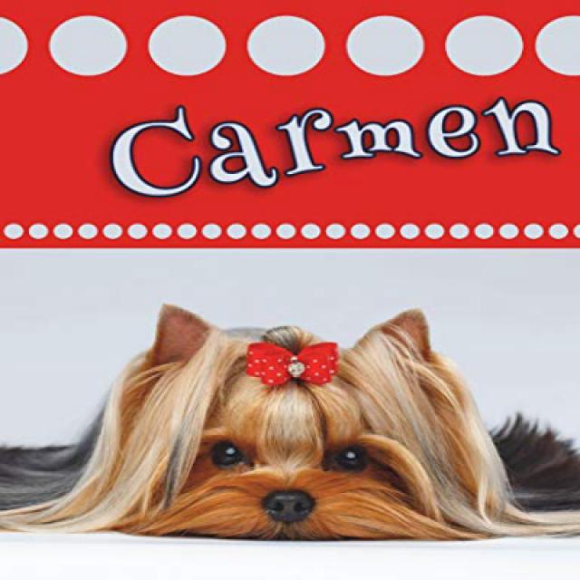 Carmen: Personalized Address Book Large Print 8 1/2” x 11” Carmen : 개인 주소록 큰 활자체 8 1/2 ”x 11”, nullSET