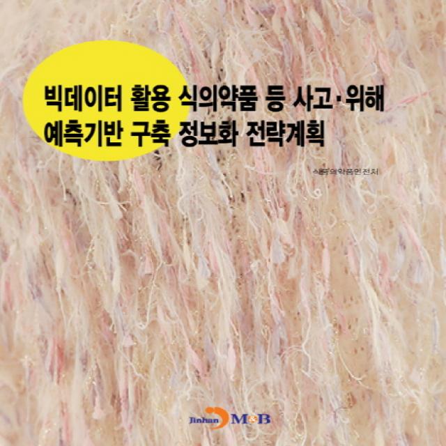 빅데이터 활용 식의약품 등 사고ㆍ위해 예측기반 구축 정보화 전략계획 진한엠앤비