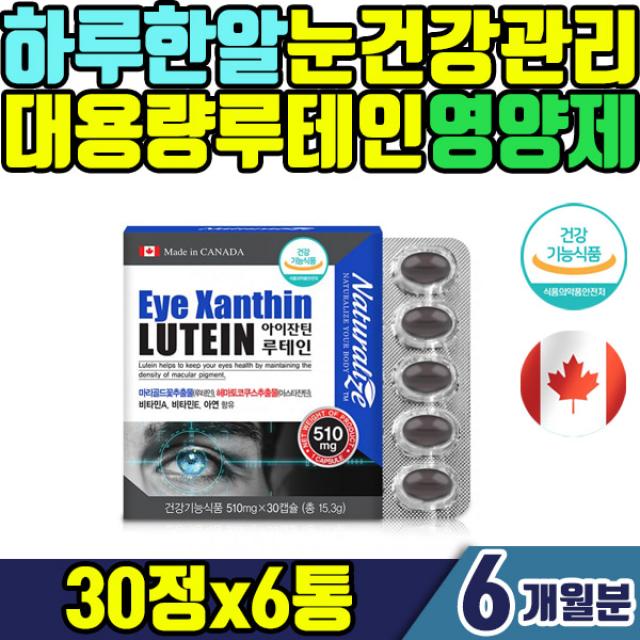 대용량 눈건강 루테인 6통 6개월분 학생 수험생 직장인 노화 감소 황반색소밀도 유지 도움줄수있는 마리골드꽃 추출물 식물성 원료