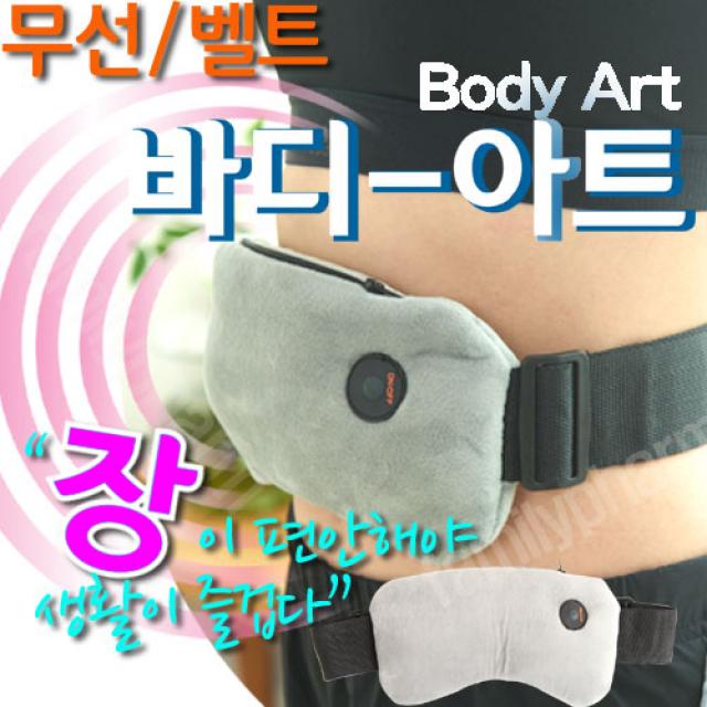 바디아트 장마사지기 복부마사지 벨트형 허리 공부 운전 휴식중 FP-1000, 1개, 그래이