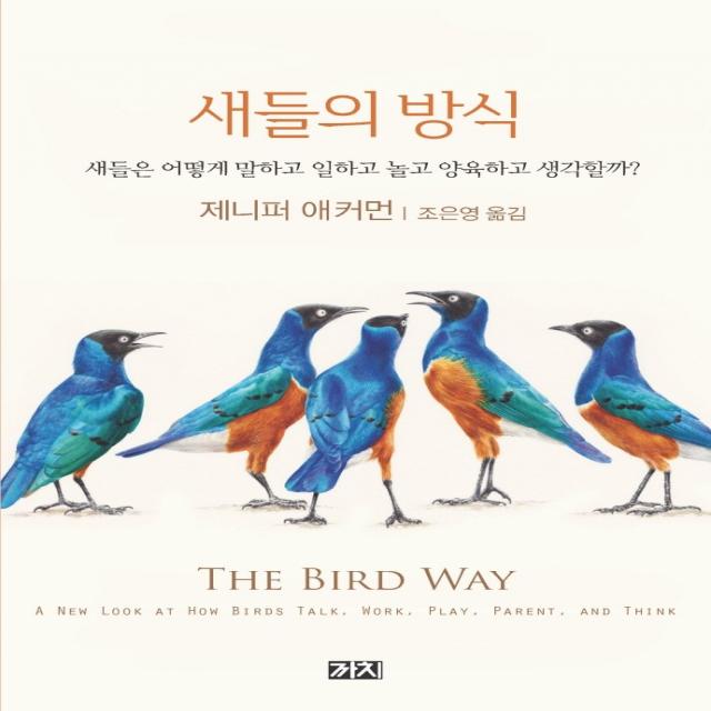 새들의 방식:새들은 어떻게 말하고 일하고 놀고 양육하고 생각할까?, 까치, 제니퍼 애커먼