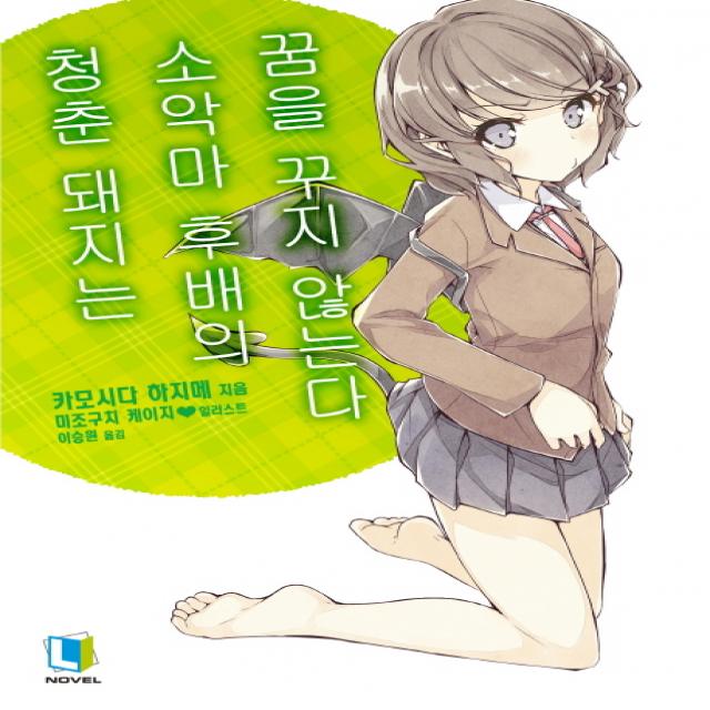 청춘 돼지는 소악마 후배의 꿈을 꾸지 않는다, 디앤씨미디어