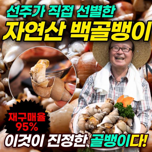 먹사부 산지직송 백골뱅이 생물 활 백고동 소 중 대자 동해안 포항 구룡포 자연산 탕 무침 1kg 2kg 3kg, 1. [생물]백골뱅이 - 소 2kg