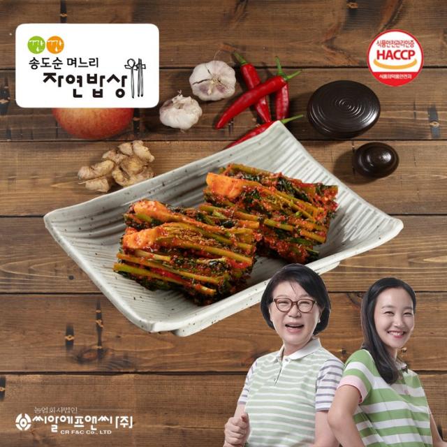 깐깐송도순며느리자연밥상 깐깐 송도순 열무김치 5kg, 1개