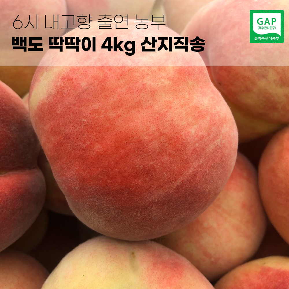 6시내고향 출연농부 경북 영천 백도 딱딱이 복숭아 2kg 4kg 고당도 산지직송, 1번. 2kg (5~8과)