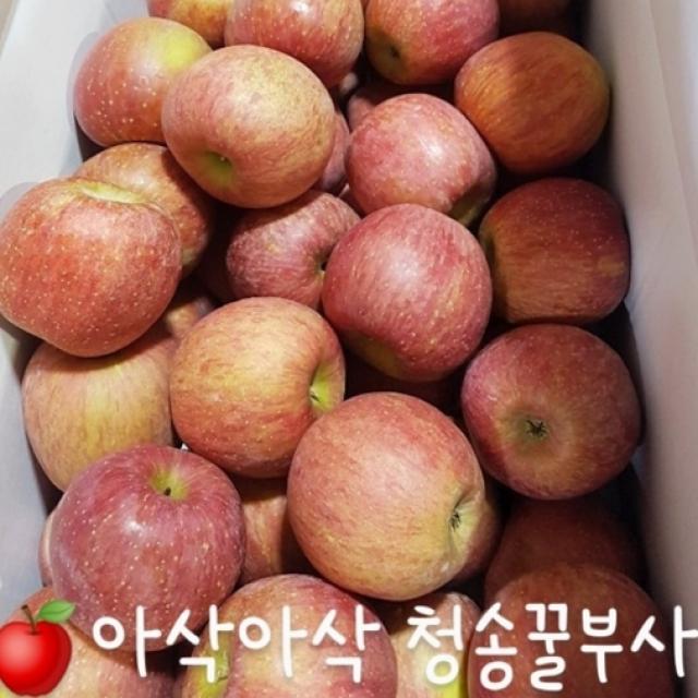 청송 산지 햇부사!!! 아~삭 새콤달콤한 부사 사과!!! 2kg / 5kg / 10kg, 소과 2kg(12~17개)