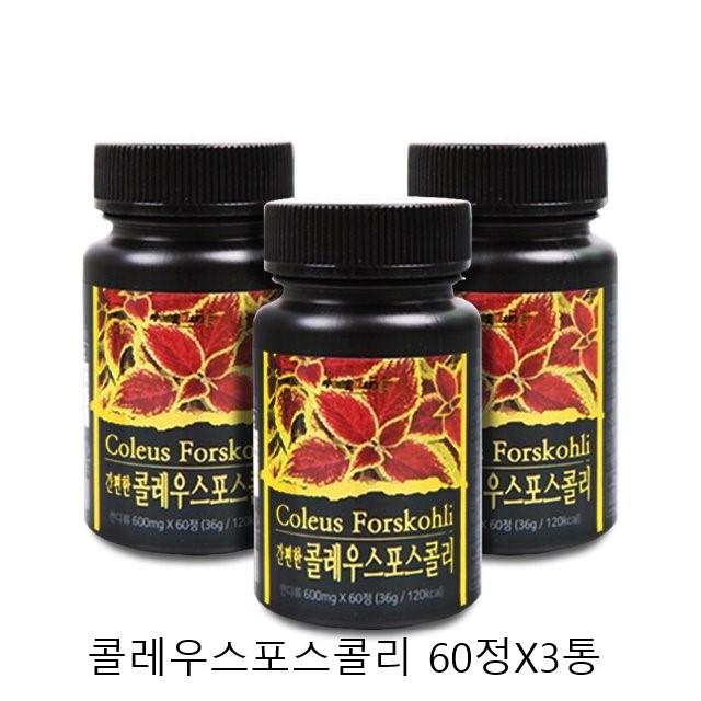 콜레우스포스콜리 포스콜린 추출물 분말 정 가루 근경, 3통, 600mgX60정