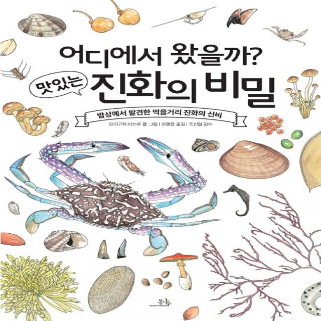 어디에서 왔을까? 맛있는 진화의 비밀:밥상에서 발견한 먹을거리 진화의 신비, 봄나무