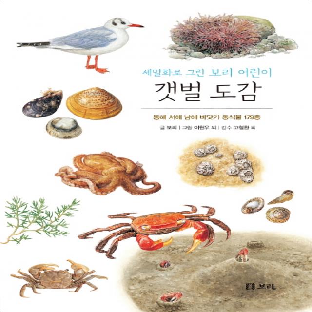 갯벌 도감 보리