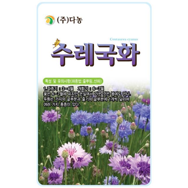 산국화 6000립 - 야생화 씨앗 꽃씨 씨 꽃씨앗 산국화씨앗 산국화씨 다년생 여러해살이 야생화씨앗 꽃 들국화, 31_다농_수레국화(1g)