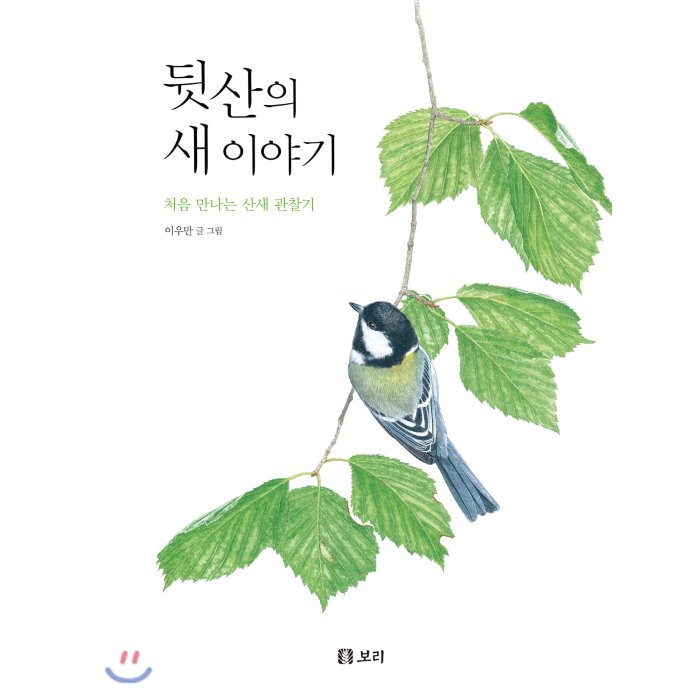 뒷산의 새 이야기 : 처음 만나는 산새 관찰기 보리 9791163141693 이우만 글 그림