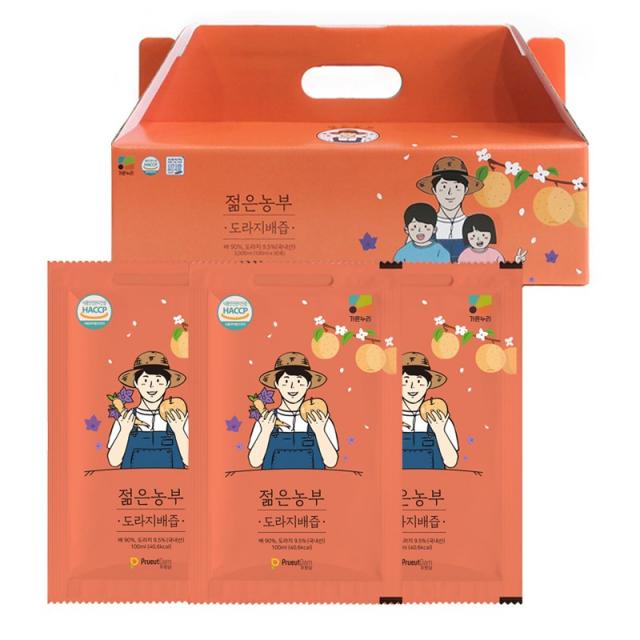 푸릇담 젊은농부 도라지배즙, 100ml, 30포