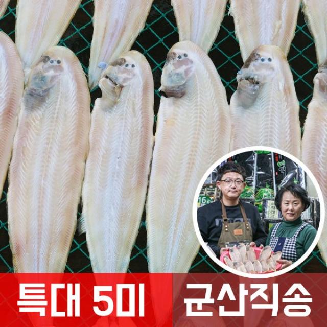 맛나젓갈건어물 군산 반건조 박대 서대 5미 특대 사이즈 박대구이, 5개