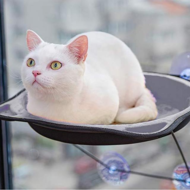 고양이 해먹 고양이 창문 용 침대 고양이 퍼치 창문 설치형 일광욕 일광욕 낮잠 猫鍋 특등석 빨판 설치 쉬운 공간 절약 내 하중 15kg