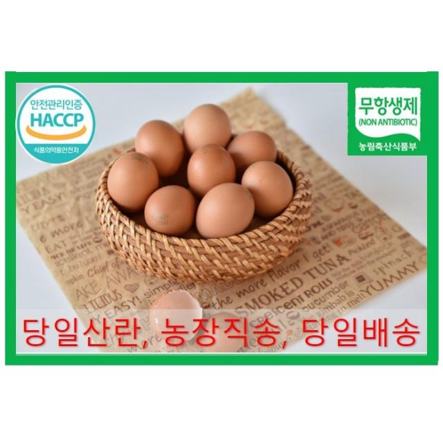 알부자집 친환경계란 특란 60개
