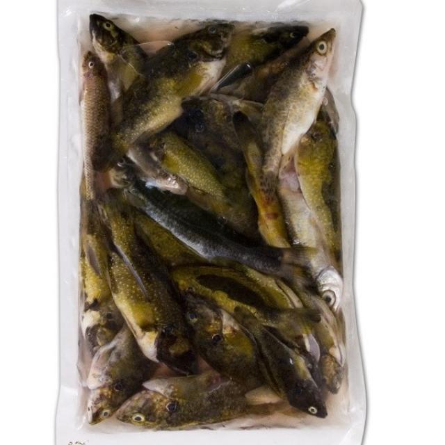 강원도 동강 자연산 민물고기(잡고기) 450g x 3팩 냉동가공수산물, 500g