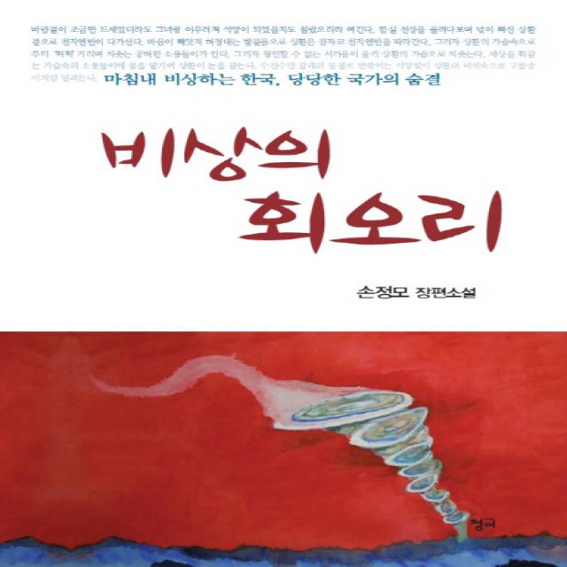 비상의 회오리:손정모 장편소설, 청어