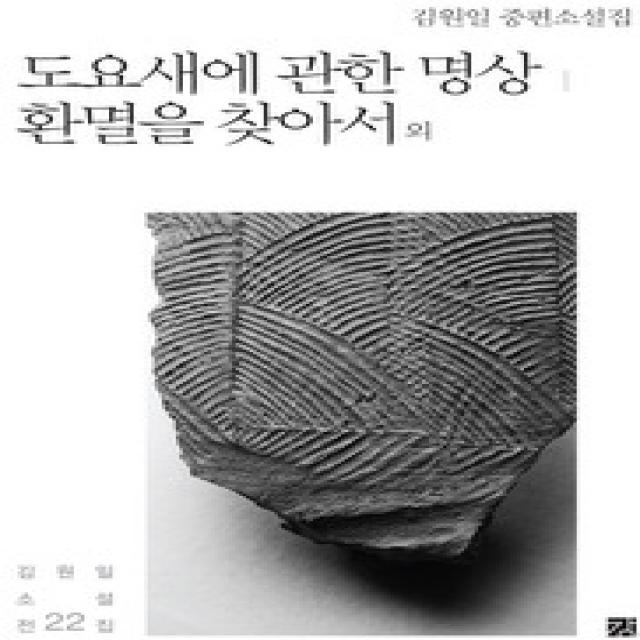 [개똥이네][중고-상] 도요새에 관한 명상 / 환멸을 찾아서 외