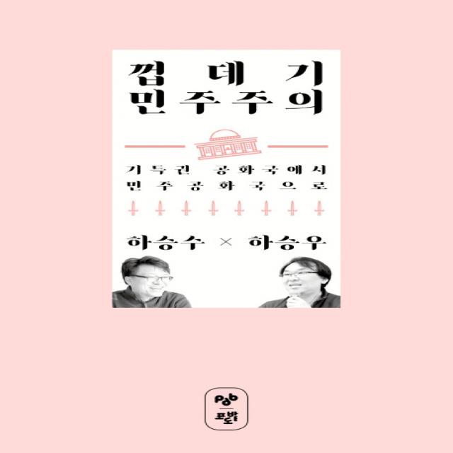 껍데기 민주주의:기득권 공화국에서 민주공화국으로 포도밭출판사