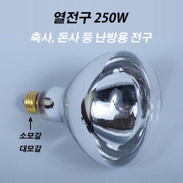 농사야 열전구 250W (소모갈) 난방용전구 축사등 돈사등