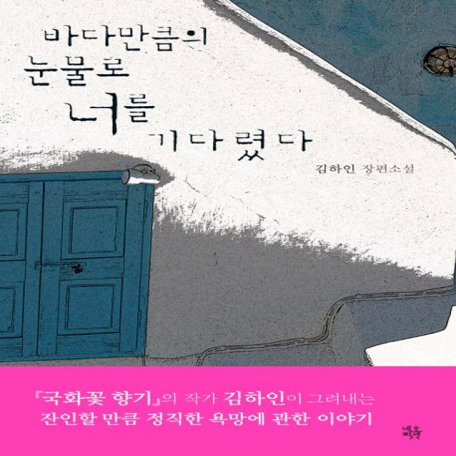 바다만큼의 눈물로 너를 기다렸다:김하인 장편소설, 네오픽션