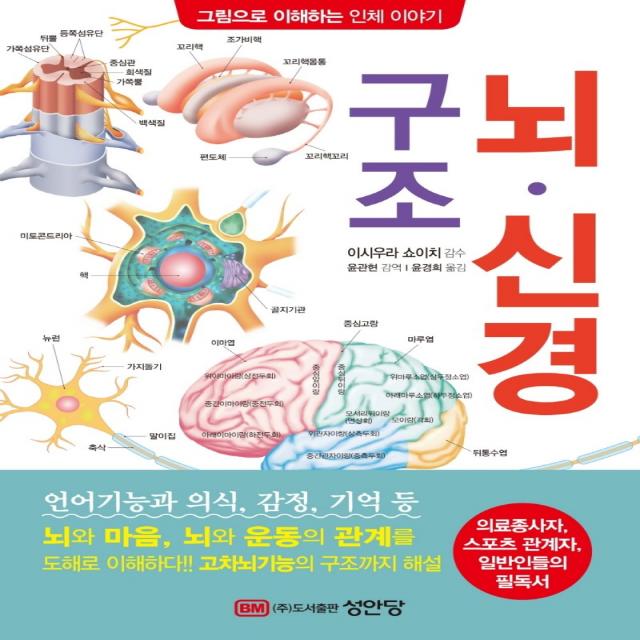 뇌·신경 구조:의료종사자, 스포츠 관계자, 일반인들의 필독서, 성안당, 이시우라 쇼이치