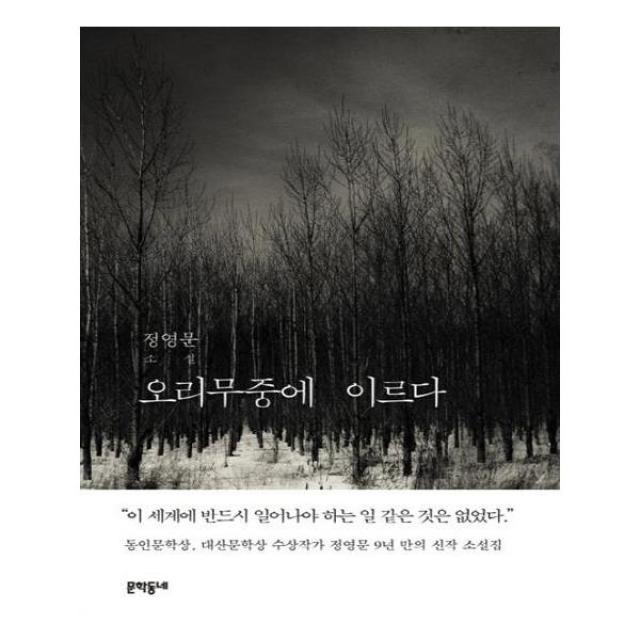 [문학동네] 오리무중에 이르다
