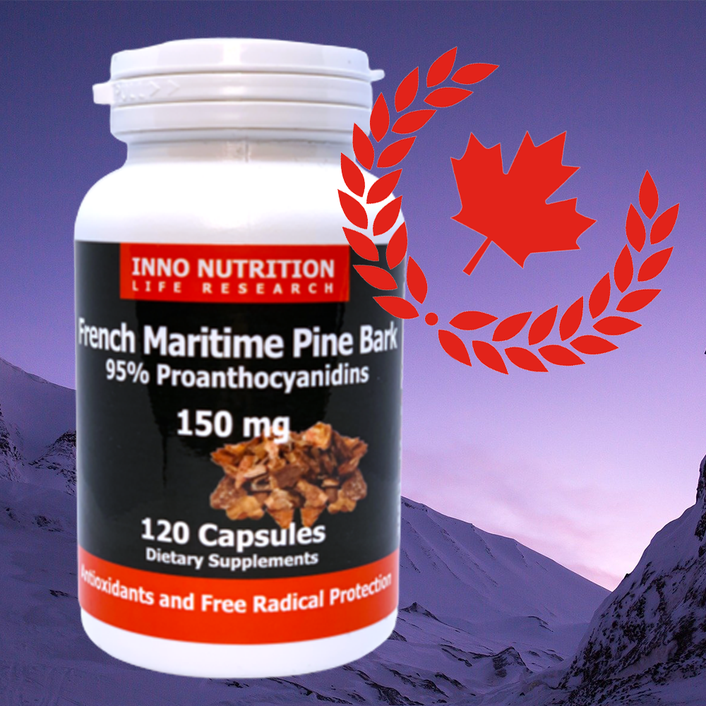 파인바크 피크노제놀 해안송 해송 소나무 껍질 폴리페놀 프로안토시아니딘 영양제 120캡슐