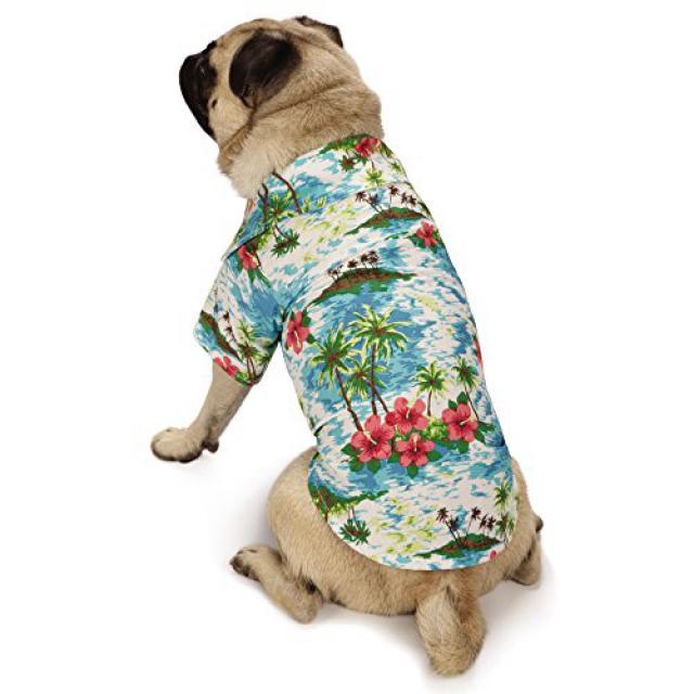 Casual Canine Hawaiian Breeze Camp Shirt Large Blue 캐주얼 송곳니 하와이안 브리즈 캠프 셔츠 크고 파란색, 1