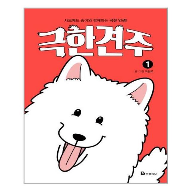 북폴리오 극한견주 1 마스크제공 단품