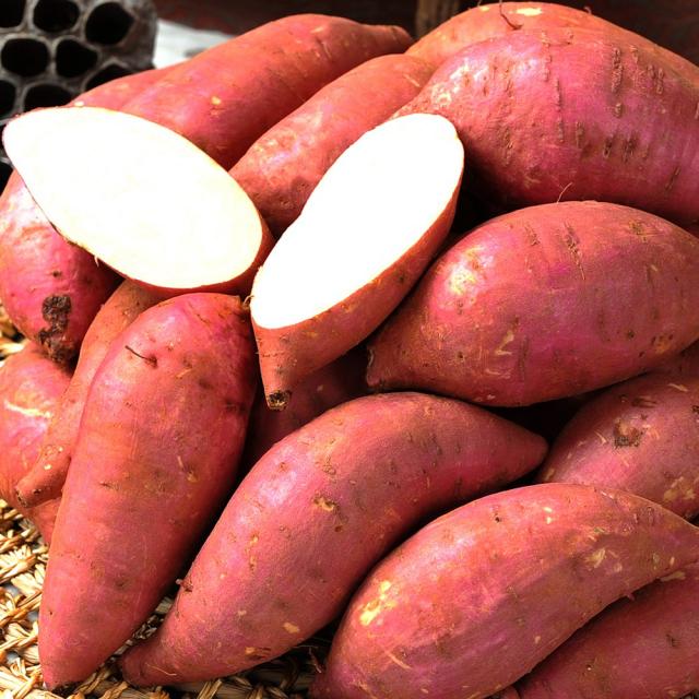 [가격좋아요..햇고구마]포근하고 달달한 꿀밤고구마 맛보세요, 1박스, 꿀밤고구마 10kg 못난이