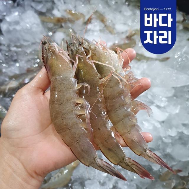 사계절 국산 하우스 생새우 급랭새우 1kg 생새우회 새우구이, 신안 급랭새우 1kg (37-45미)