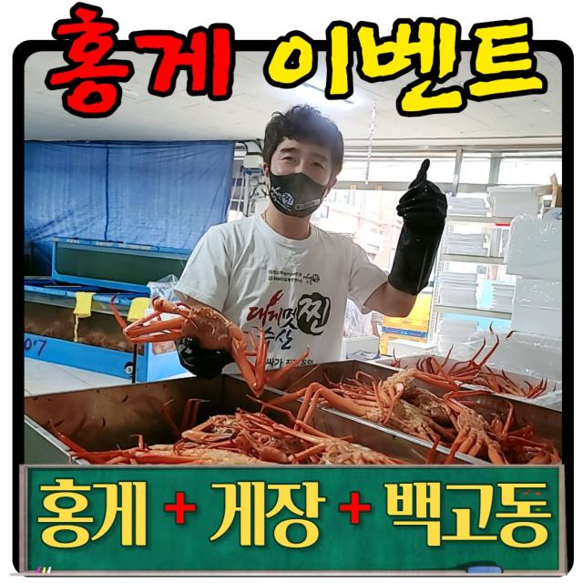 [찐수산] 프리미엄 정품 홍게 수율80%이상! 사은품 백고동+홍게간장게장 증정, 정품홍게10미(+백고동1k+홍게간장게장)