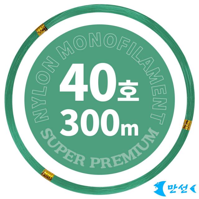 갈치기둥줄 자작 부드러운경심줄 40호그린 300m HCMNM