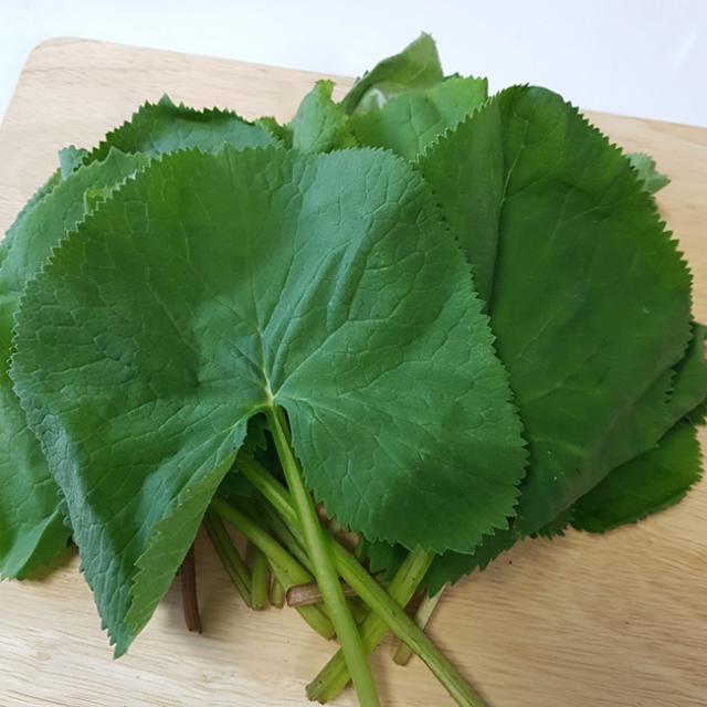 강월도 삼척 곰취 곰취나물 생곰취 어수리나물, 1박스, 곰취 2kg