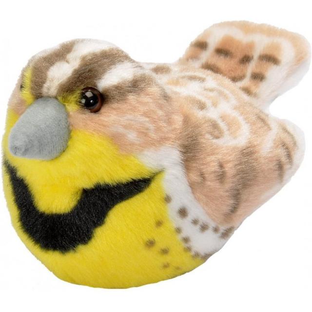 Wild Republic Audubon Birds 본격적인 새 소리 박제 동물 어린이와 새를위한 새 장난감이있는 Western Meadowlark Plush, 단일옵션