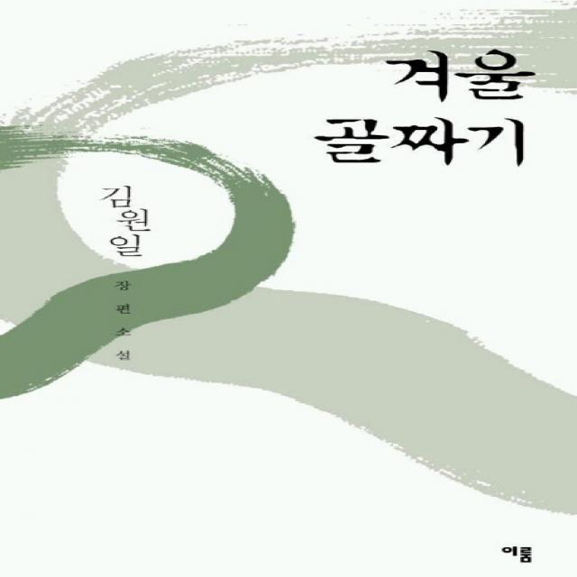 겨울 골짜기:김원일 장편소설, 이룸