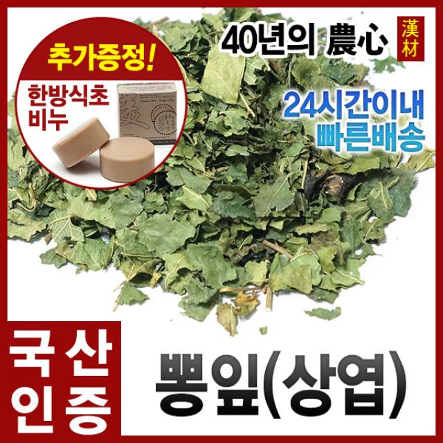 뽕잎300g 상엽 뽕나무잎 뽕잎차 국산(충북제천), 단품