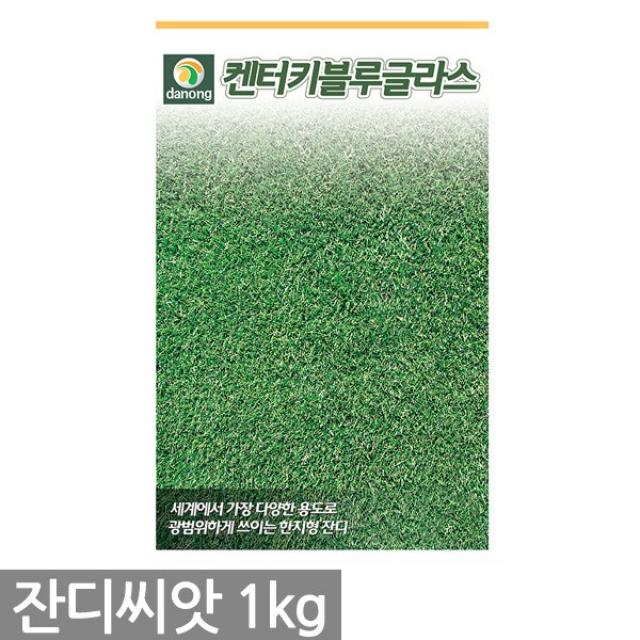 캔터키31톨페스큐 잔디씨앗 1kg - 잔디씨 잔디 씨 씨앗 양잔디 한국잔디 들잔디 경기장 비행장 골프장 공원 목초용 풀씨, 03_다농_켄터키블루그라스(1kg)