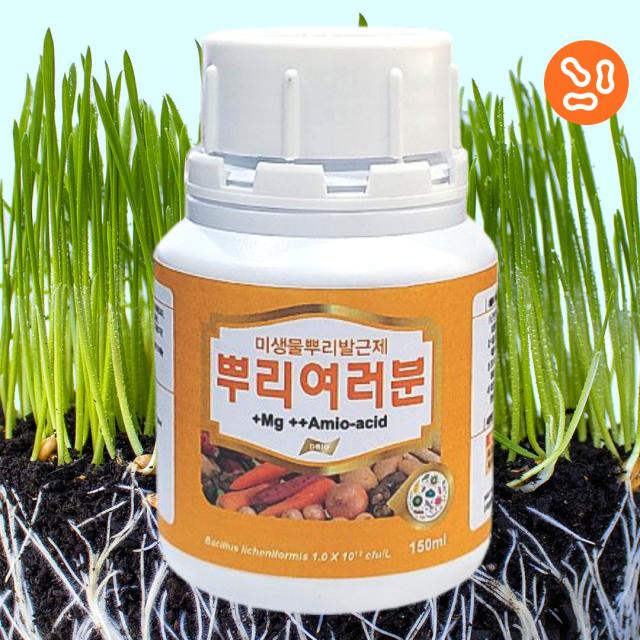 뿌리여러분 150ml 1개 바실러스 미생물 뿌리 발근제