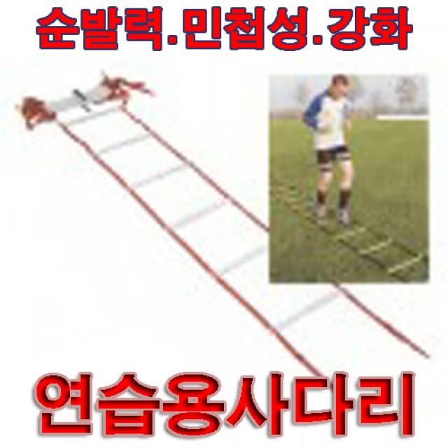 58 제이티인터내셔널 / 금우 스텝레더/연습용 사다리 민첩성/순발력강화/축구.농구.기타 체력훈련용/8m/학교 볼망 부심기 점수판 스피드사다리/스피드훈련