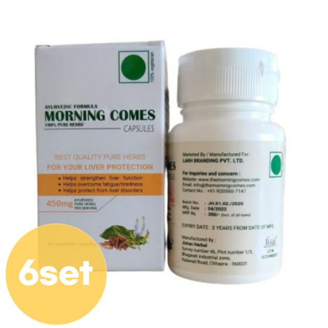 인도 모닝컴스 간 영양제 히말라야 간약 60정X6set